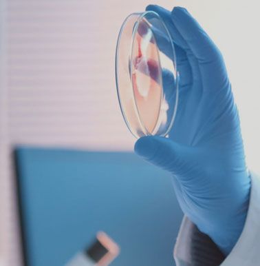 產(chǎn)品暢銷(xiāo)各地，并遠(yuǎn)銷(xiāo)國(guó)外市場(chǎng)